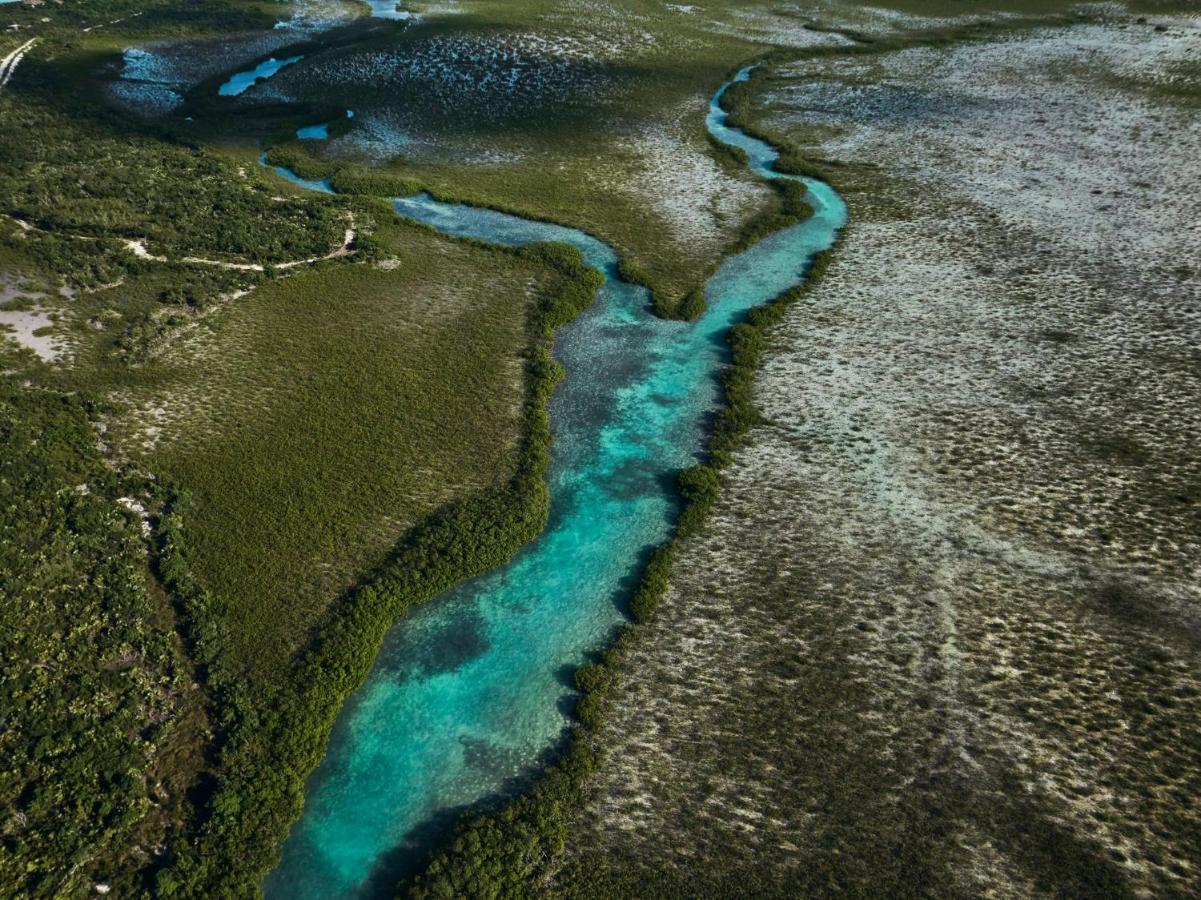 Como Parrot Cay Sandy Point Bagian luar foto